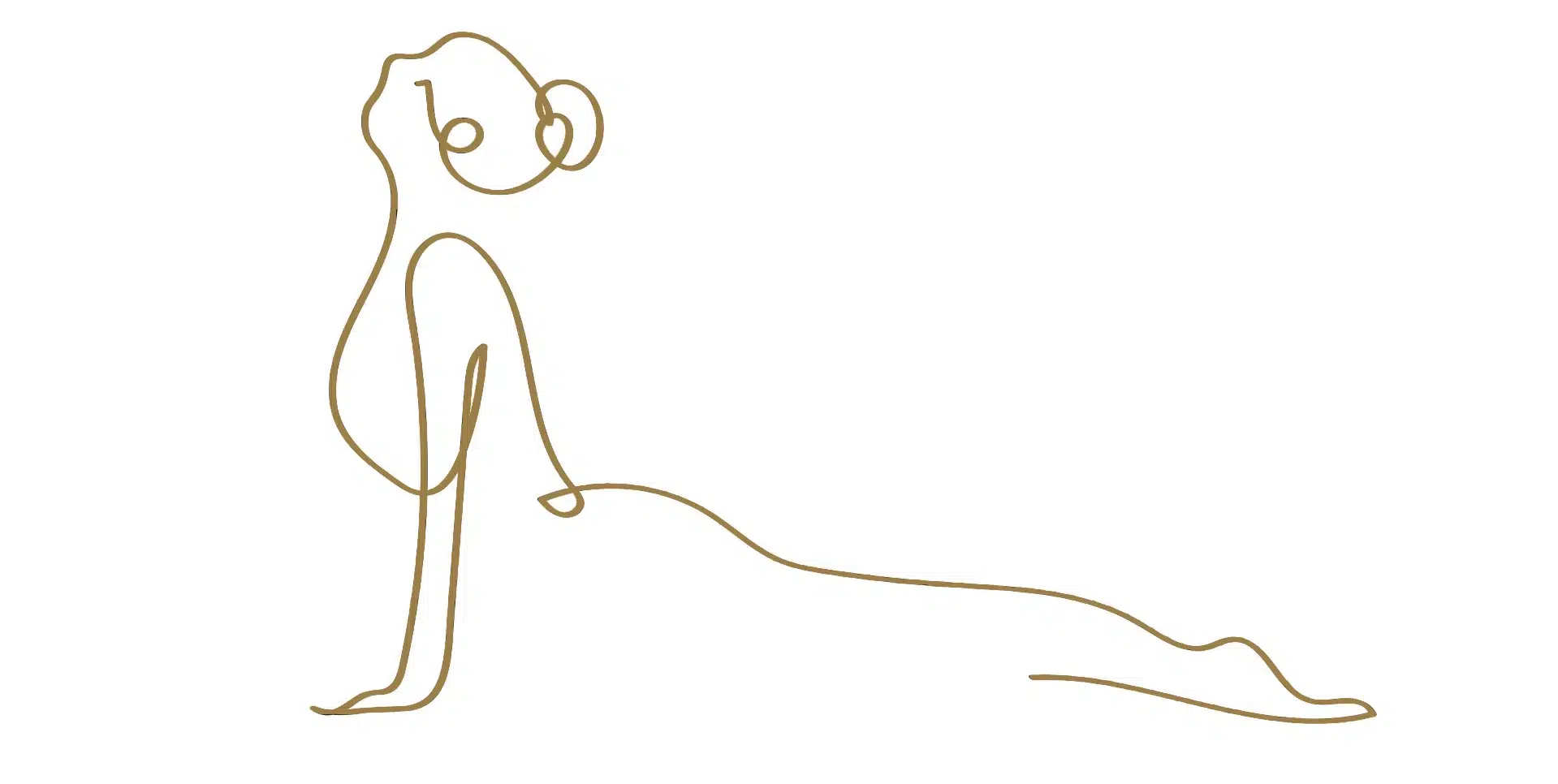 Yoga IYENGAR Barcelona-Centre ZAMA IOGA IYENGAR Les Corts